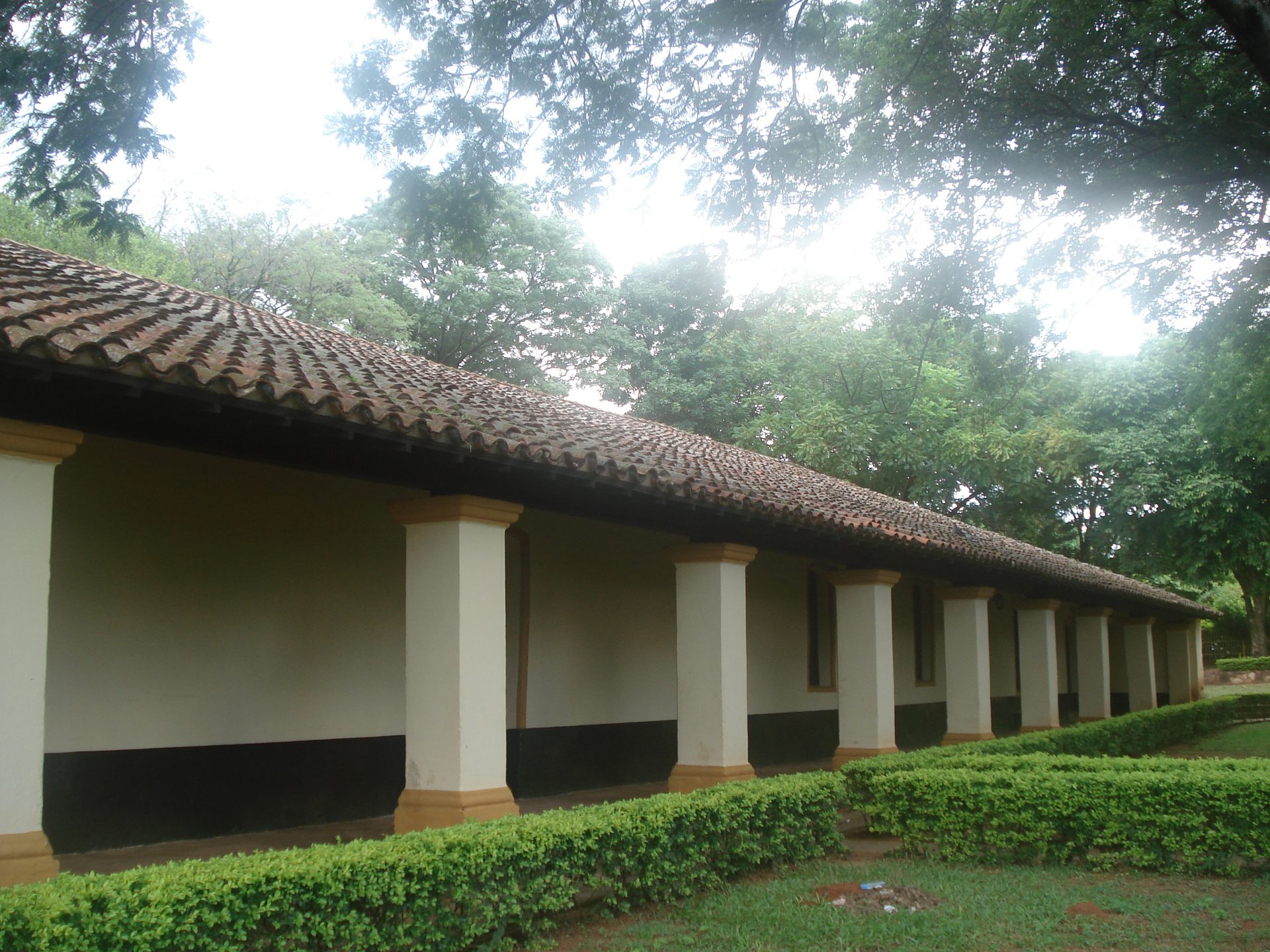 Limpio 3