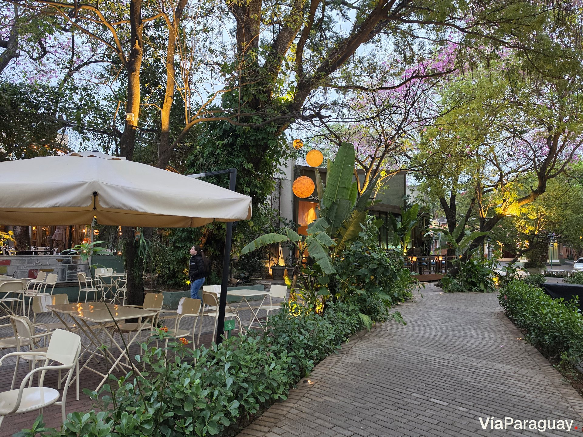 Recoleta 3