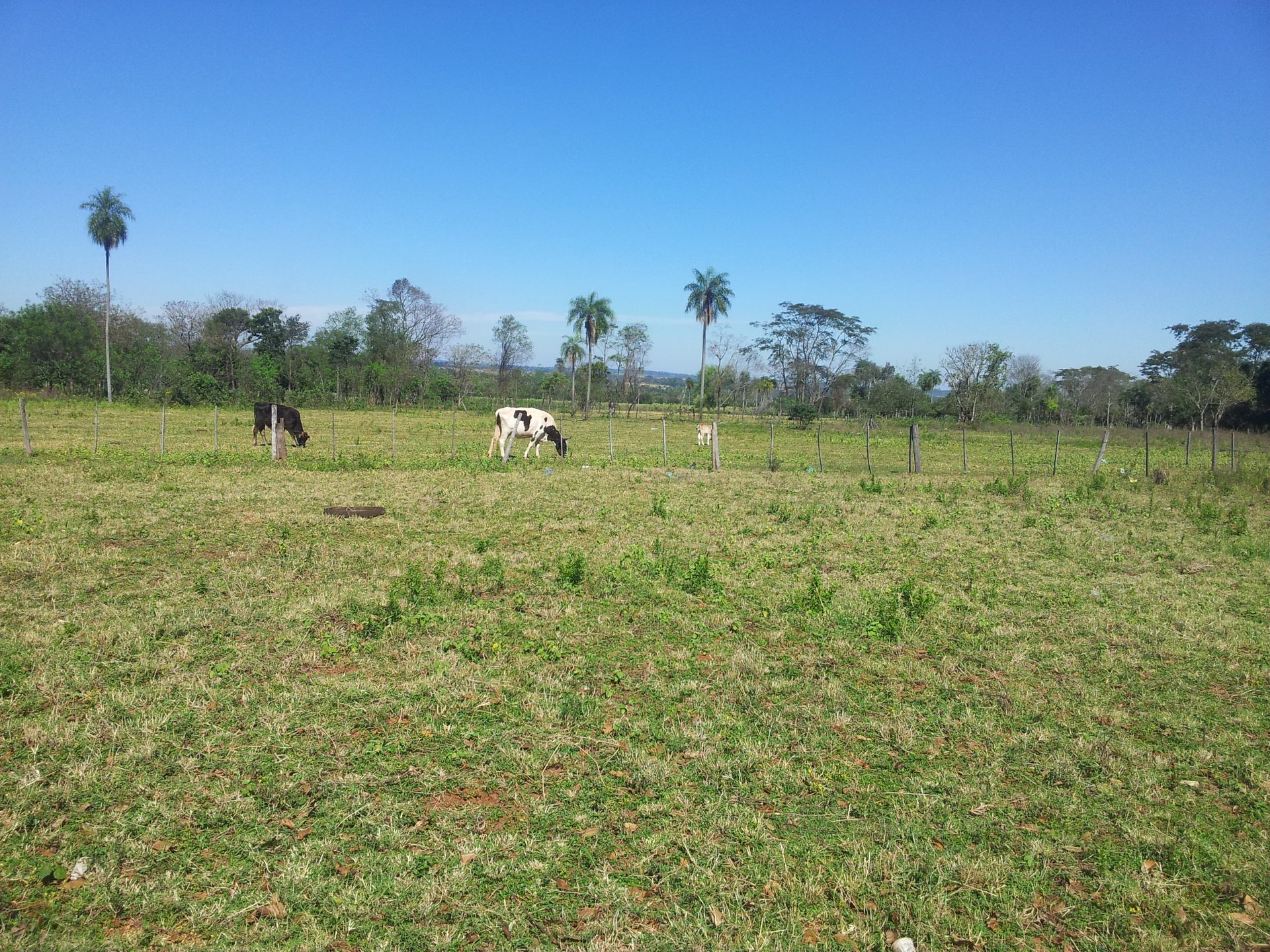San Estanislao 2