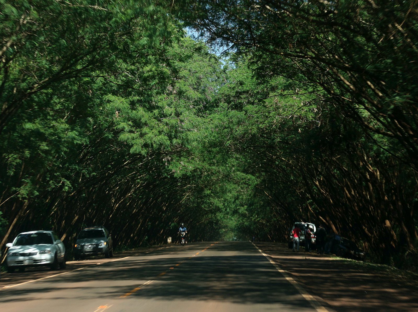 Alto Paraná 4